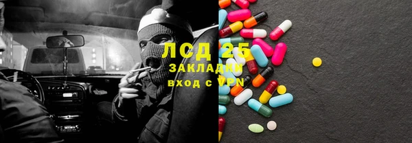 ПСИЛОЦИБИНОВЫЕ ГРИБЫ Белокуриха