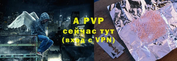 ПСИЛОЦИБИНОВЫЕ ГРИБЫ Белокуриха