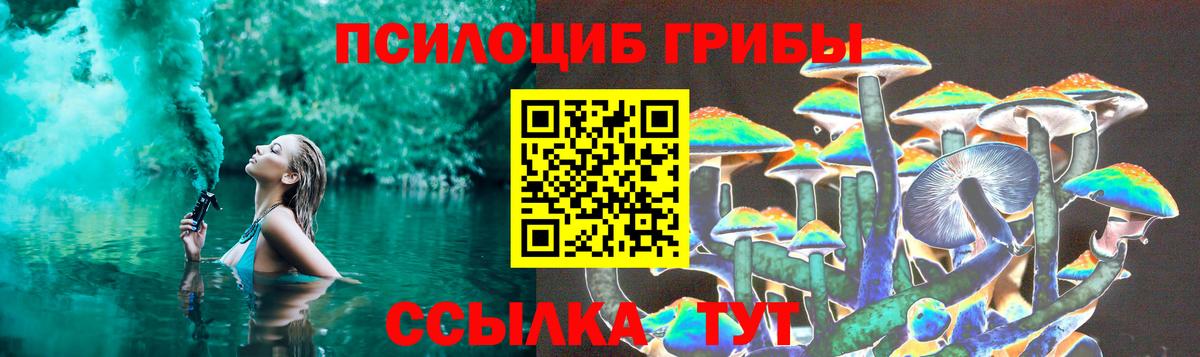 Псилоцибиновые грибы прущие грибы  Вход с VPN  Вязники  Псилоцибиновые грибы прущие грибы 